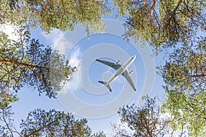 Passenger airplane flying overhead against blue sky between trees