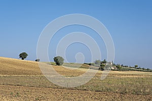 Travel in Tuscany. Beautiful and idyllic landscape of a lane of cypresses in the Tuscan countryside in Italy