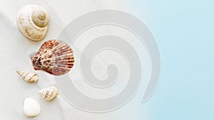 Travel, vacation concept. Sea shells on sand and blue background. Travelling