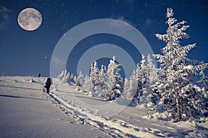 Travel in winter mountains at the night with stars and a full moon