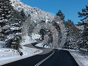 Travel in winter snow ice asphalt firs in sunny cold day