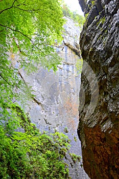 Travel in Zarnesti  Canyon. Typical landscape in the forests of Transylvania, Romania