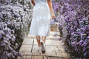 Traveler asian woman travel in flower garden in Chiang Mai Thailand