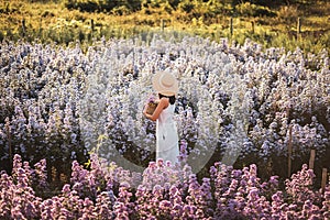 Traveler asian woman travel in flower garden in Chiang Mai Thailand