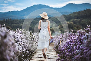 Traveler asian woman travel in flower garden in Chiang Mai Thailand