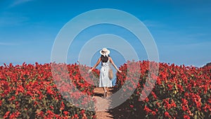 Traveler asian woman travel in flower garden at Chiang Mai Thailand