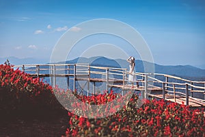 Traveler asian woman travel in flower garden at Chiang Mai Thailand