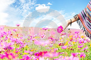 Traveler Asian women hand touch cosmos flower, freedom and relax in the flower farm, photo