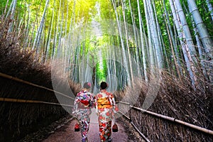 Traveler in Bamboo Forest Grove, Kyoto, Japan