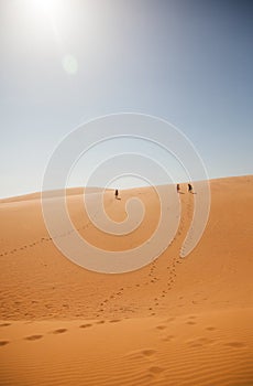 The traveler in the desert