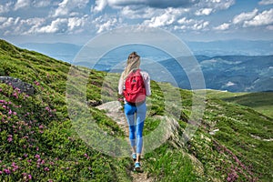 Traveler girl or woman with backpack walking hike path in mountains. Summer flowers rue outside