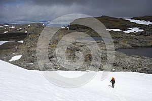 Traveler hikes through Hardangervidda Park in Norway in summer photo