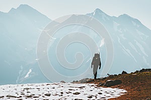 Traveler Man hiking in mountains Lifestyle travel survival concept