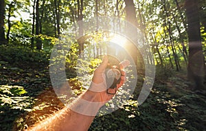 Traveler man holds a compass in the forest with explosive sunlight. Point of view shot