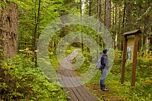 Traveler in a nature park