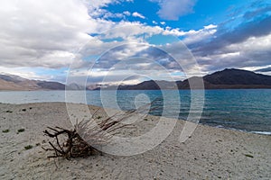 Traveler at Pangong Lake in Leh Ladakh, Jammu and Kashmir, India