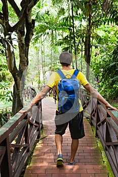 Traveler rear view backpack walk jungle green