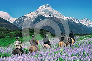 Traveler ride horse at Mt Cook, New Zealand.