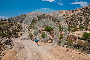 Traveler on the road