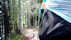 Traveler`s back with backpack in forest. Stock footage. Close-up of traveler goes hiking in woods in cloudy weather