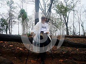 Traveler thai women people wear raincoat walking trail or hiking in forest jungle on mountain for travel and mist fog while