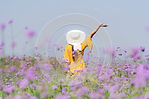 Traveler or tourism Asian women standing and chill  in the purple  verbena flower field in vacations time.  People  freedom and re