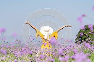 Traveler or tourism Asian women standing and raise hands chill  in the purple  verbena flower field in vacations time.