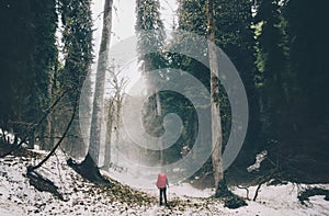 Traveler walking alone at foggy forest