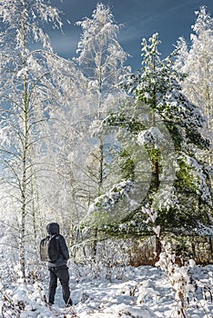 traveler in the winter forest/traveler with a backpack in the wi