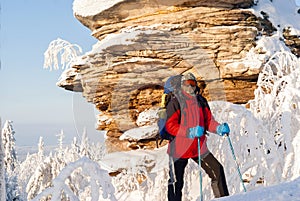 Traveler in a winter landscape