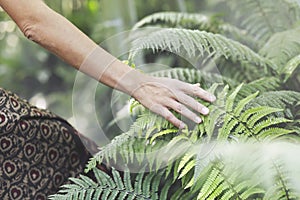 Traveler woman gently touches a leaf in the middle of nature; concept of respect and harmony photo