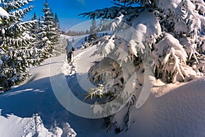 Travelers with a backpacks walking along the road through the forest in the winter mountains.