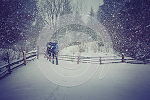 Travelers with a backpacks walking along the road through the forest in the winter mountains.