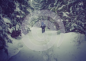 Travelers with a backpacks walking along the road through the forest in the winter mountains.