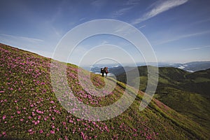 Travelers, friends relax on the mountain trail