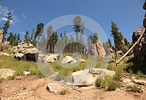 Traveling along the needles highway