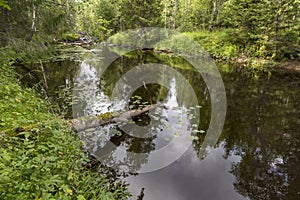 Traveling around Karelia. Forest river Uda.