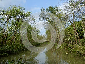 Traveling by boat through the Mekong river delta Vietnam