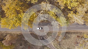 Traveling by car at autumn. Auto journey at countryside route in yellow autumnal forest. White car riding through rural