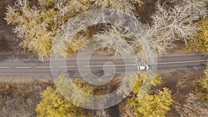 Traveling by car at autumn. Auto journey at countryside route in yellow autumnal forest. White car riding through rural