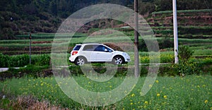 The traveling car travels in the fields in spring