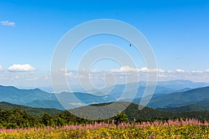 Traveling by the Carpathians. Polonyna Runa, Gostra, and other peaks. Spring, Summer and Autumn rest in the Carpathians. Green,