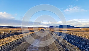 Traveling down the gravel road in desert