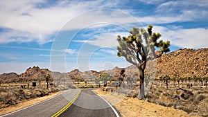 Traveling through Joshua Tree National Park