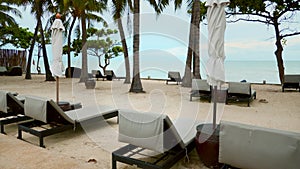 Traveling during a pandemic. Empty beach beds near the sea and palm trees