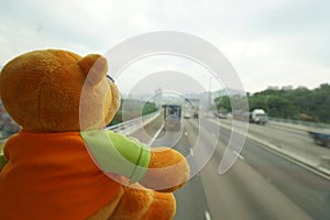 Traveling teddy bear