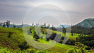 Traveling to Parunthumpara hill view Point. Parunthumpara is a village in the Indian state of Kerala\'s Idukki District