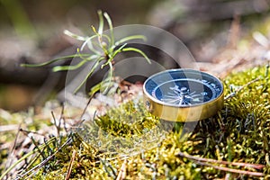 Traveller compass on the grass in the forest