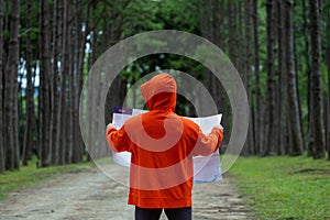 Traveller is looking at the map for direction while exploring wildlife in the pine forest for surveying and discovering the rare