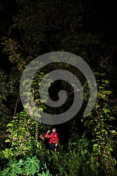 Traveller search and explore through tropical rain forest - Fieldwork photo